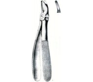 Tooth Instrument